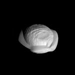 Fotografía tomada por la sonda Cassini de Pan, la luna de Saturno que tiene un anillo ecuatorial.