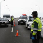 Control aleatorio en la carrertera A-7 dirección Málaga .