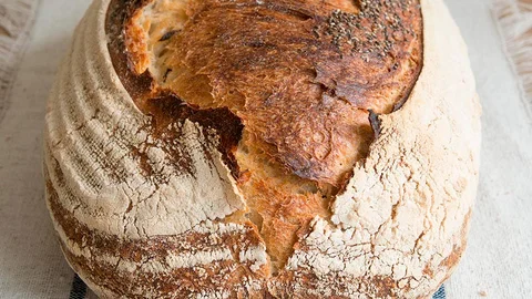 Masa madre Amasa