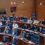 La Asamblea de Madrid celebró su último pleno el pasado 5 de marzo y no ha podido reanudar su actividad por vía telemática, por problemas técnicos