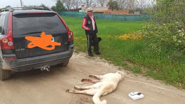Un perro muere después de que su dueño lo "paseara" atado a la bola del coche tras saltarse el confinamiento / Facebook