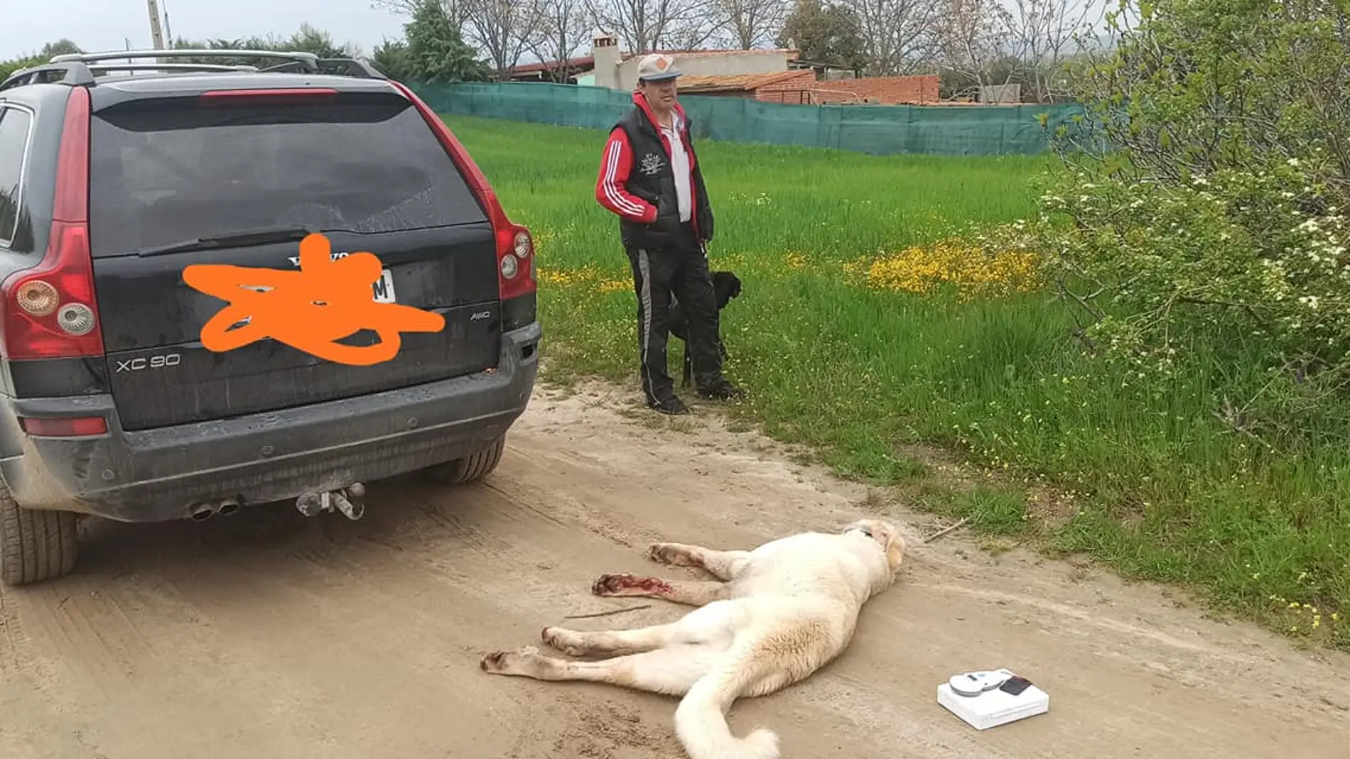 Un perro muere después de que su dueño lo "paseara" atado a la bola del coche tras saltarse el confinamiento / Facebook