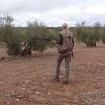 Los cazadores pide que se permita la actividad cinegética en el estado de alarma para atajar daños en el campoFEDERACIÓN DE CAZA15/04/2020