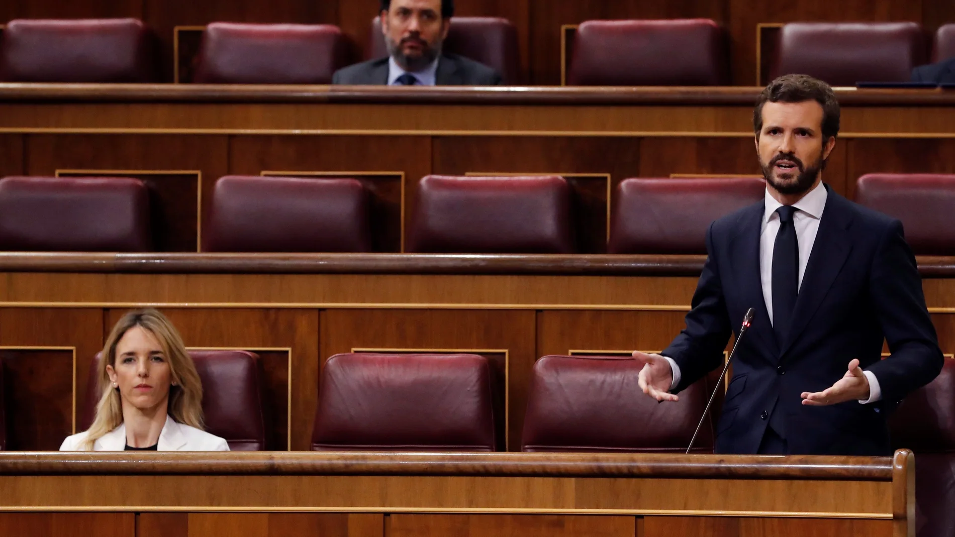Pablo Casado en la sesión de control al Gobierno, hoy en el Congreso