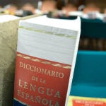 El diccionario de la Real Academia de la Lengua o RAE contiene más de 93.000 palabras | Fuente: Fotografía de archivo