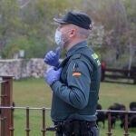 Agentes de la Guardia Civil visitan a ganaderos que pasean a sus ovejas en Rascafría