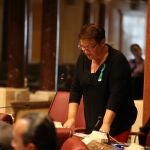 Inmaculada Lardín, defensora de las iniciativas