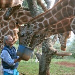 Peter Beard era un amante de la fauna africana, que retrató a lo largo de su vida