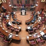 La Asamblea Regional, este martes ha convalidado el decreto ley 2/2020 de 26 de marzo de medidas urgentes fiscales en materia tributaria y de agilización de actuaciones administrativas debido a la crisis sanitaria ocasionada por el Covid-19