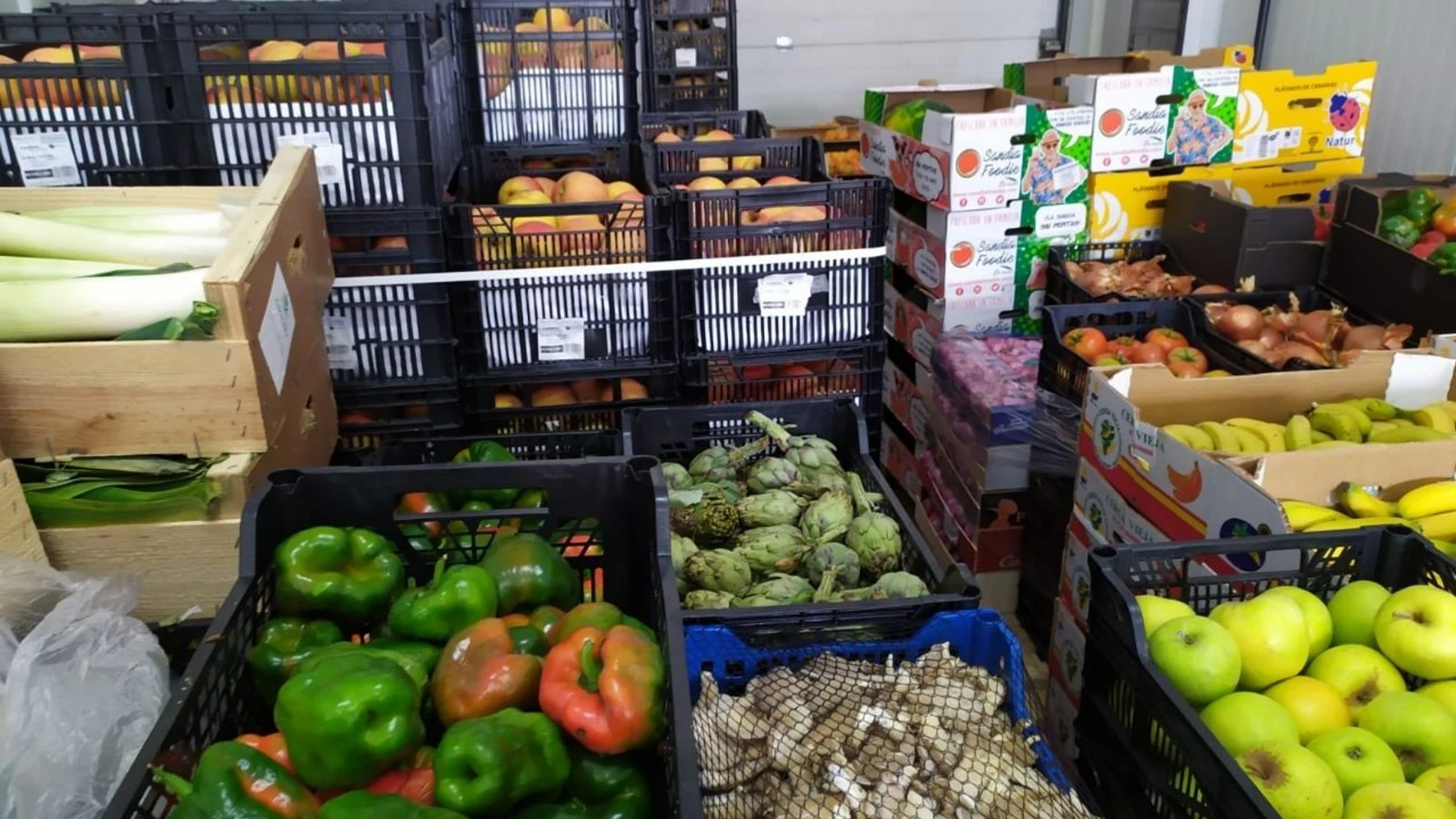 Córdooba.- Coronavirus.- Mercacórdoba entrega más de cuatro toneladas de frutas y hortalizas a 'Todos por Córdoba'