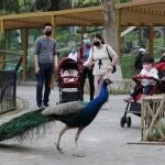 Visitantes en el zoo de Wuhan