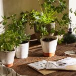 Zara Home