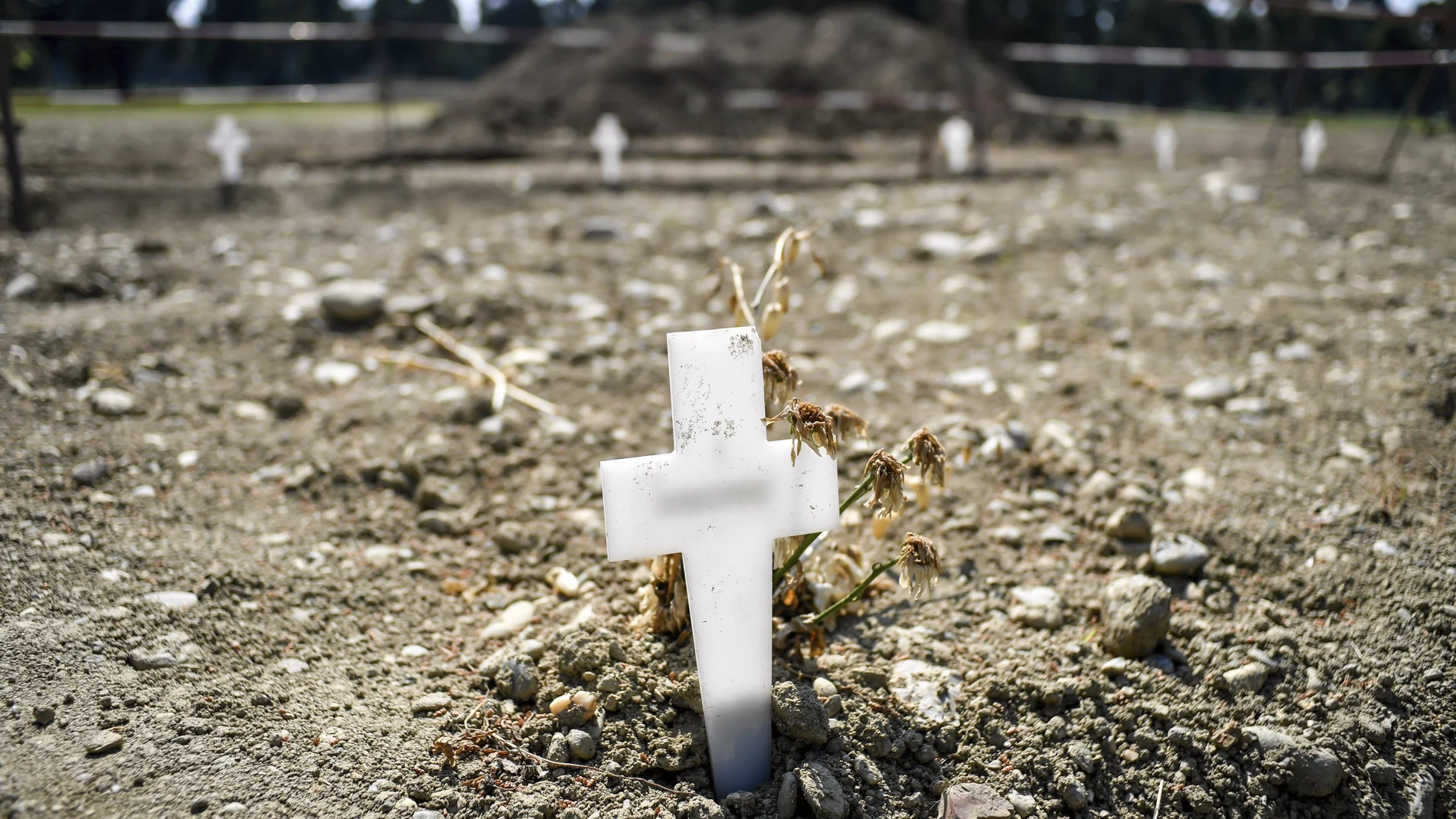 Varias cruces blancas delimitan los nuevos enterramientos en el Cementerio Mayor de Milán