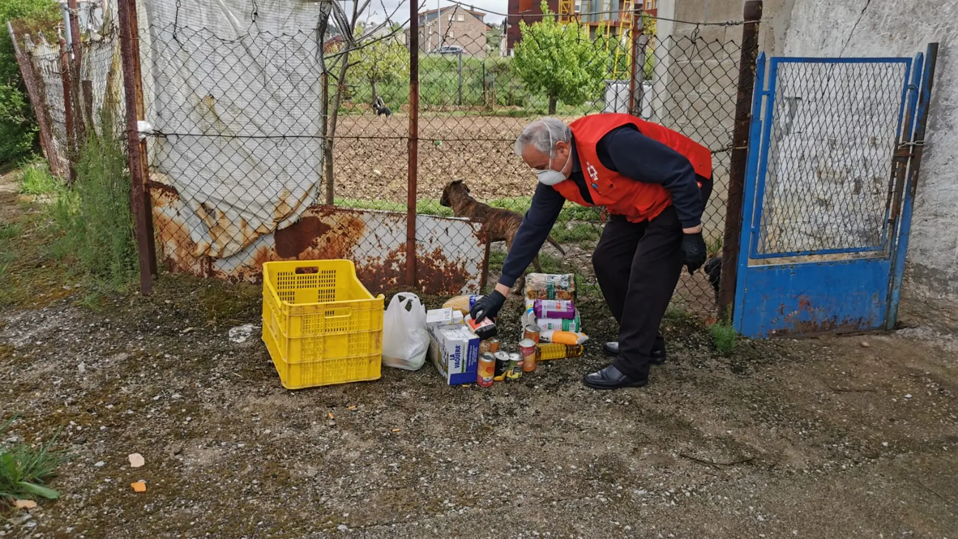 Un voluntario de Cruz Roja Castilla y León realiza una entrega de comida