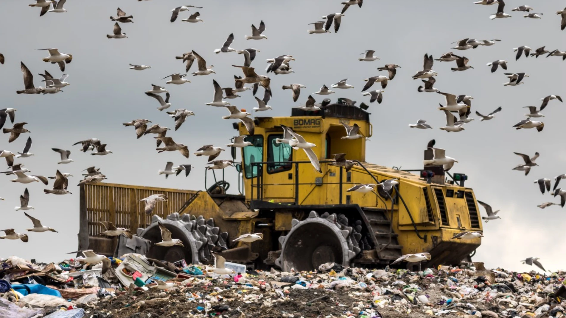 Cada año, alrededor de un tercio de todos los alimentos producidos se pudre en los cubos de basura de consumidores y minoristas