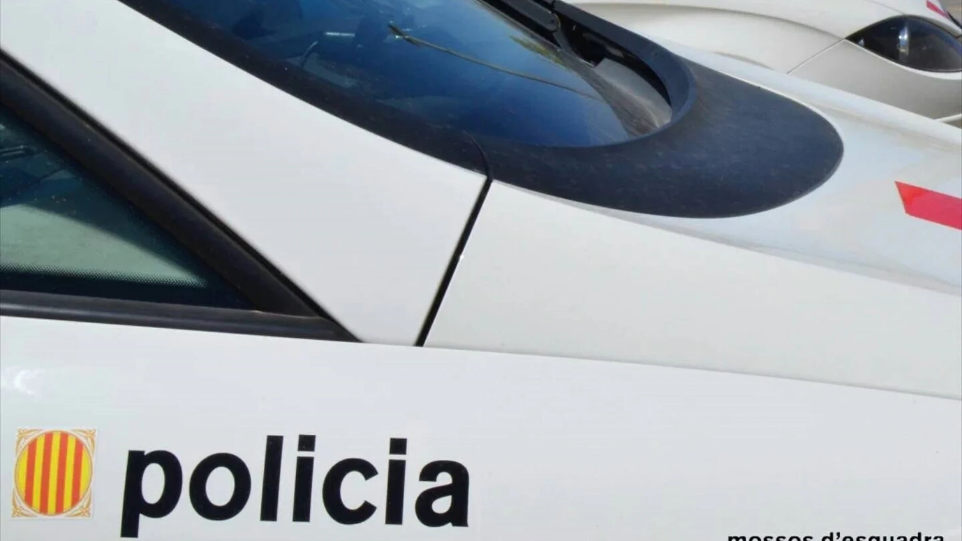 Sucesos.- A prisión un ladrón con 11 órdenes de búsqueda por nueve robos en la provincia de Girona