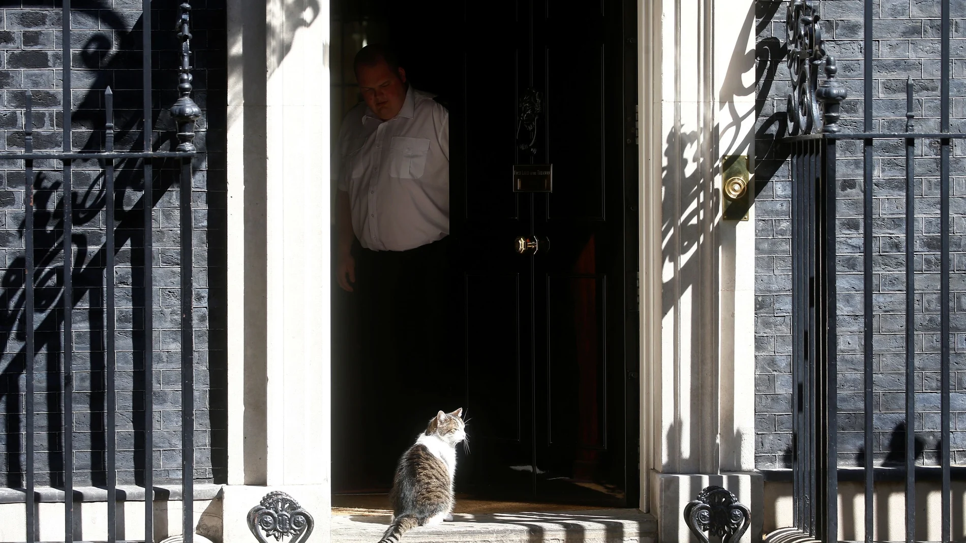 Larry el gato en la puerta del Número 10 de Downing Street