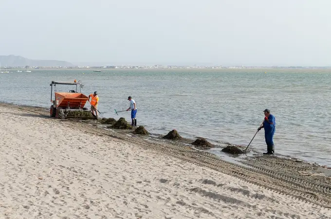 Cartagena dispuesta a denunciar a los responsables de la limpieza de secos y fangos del Mar Menor