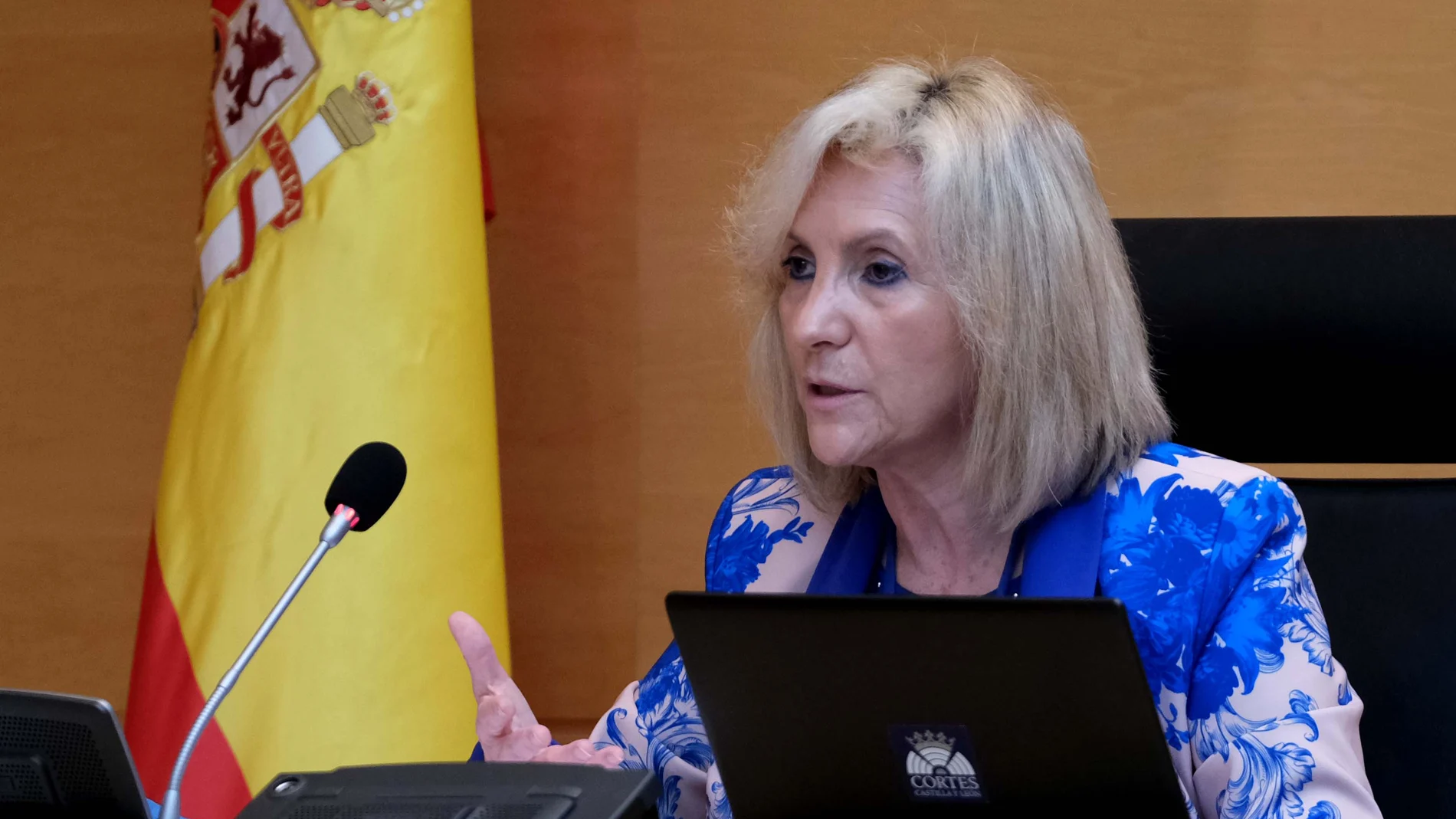 La consejera de Sanidad, Verónica Casado, durante su comparecencia en las Cortes