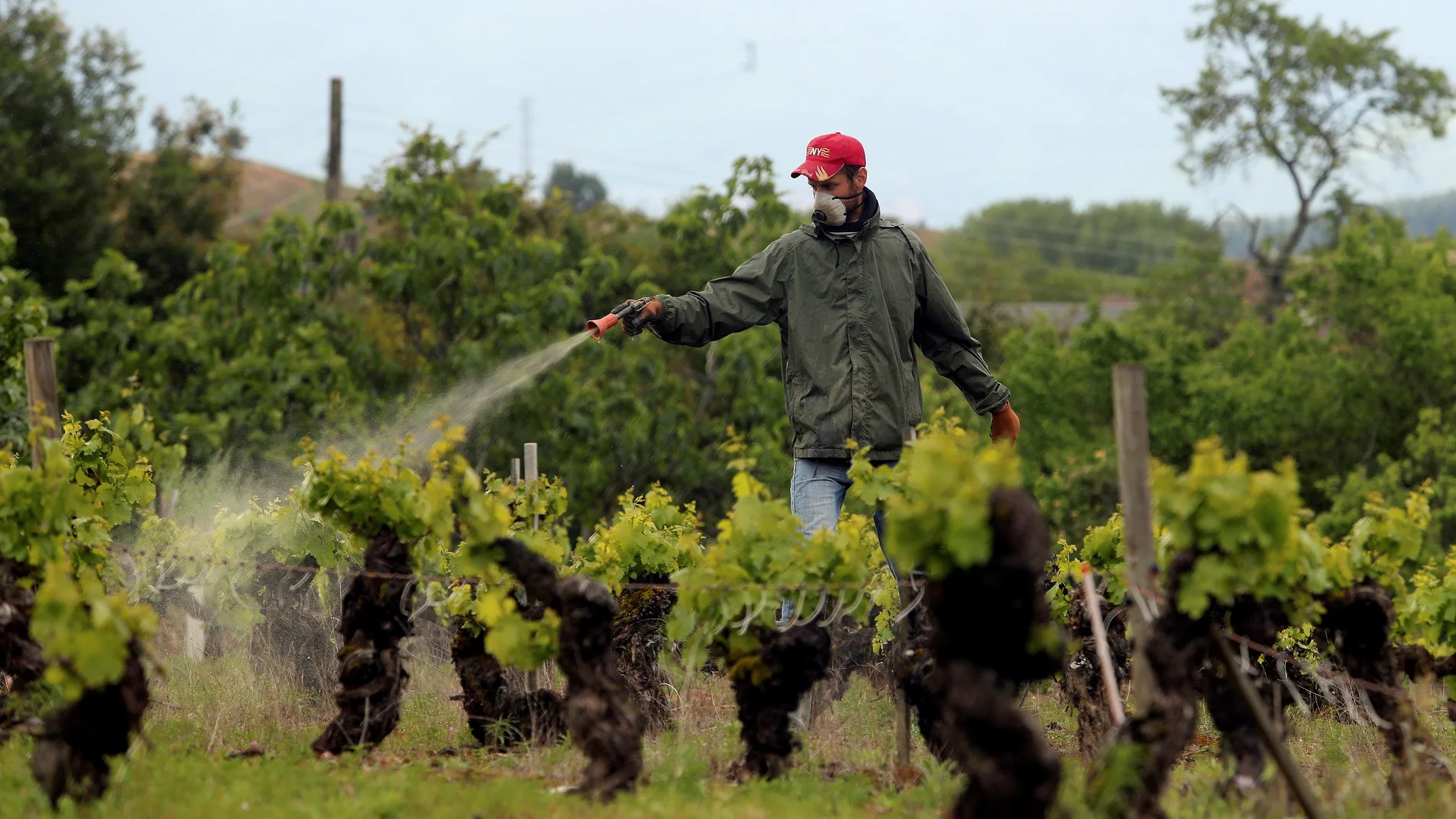 Castilla y León suma al menos 2.323 muertes, 41 más, y 19.372 casos