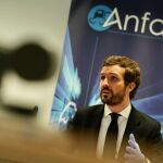 El presidente del PP, Pablo Casado tras reunirse por videoconferencia con los miembros de la Asociación Española de Fabricantes de Automóviles y Camiones (Anfac),