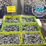 Mercadona comprará más de mil toneladas de anchoas esta campaña