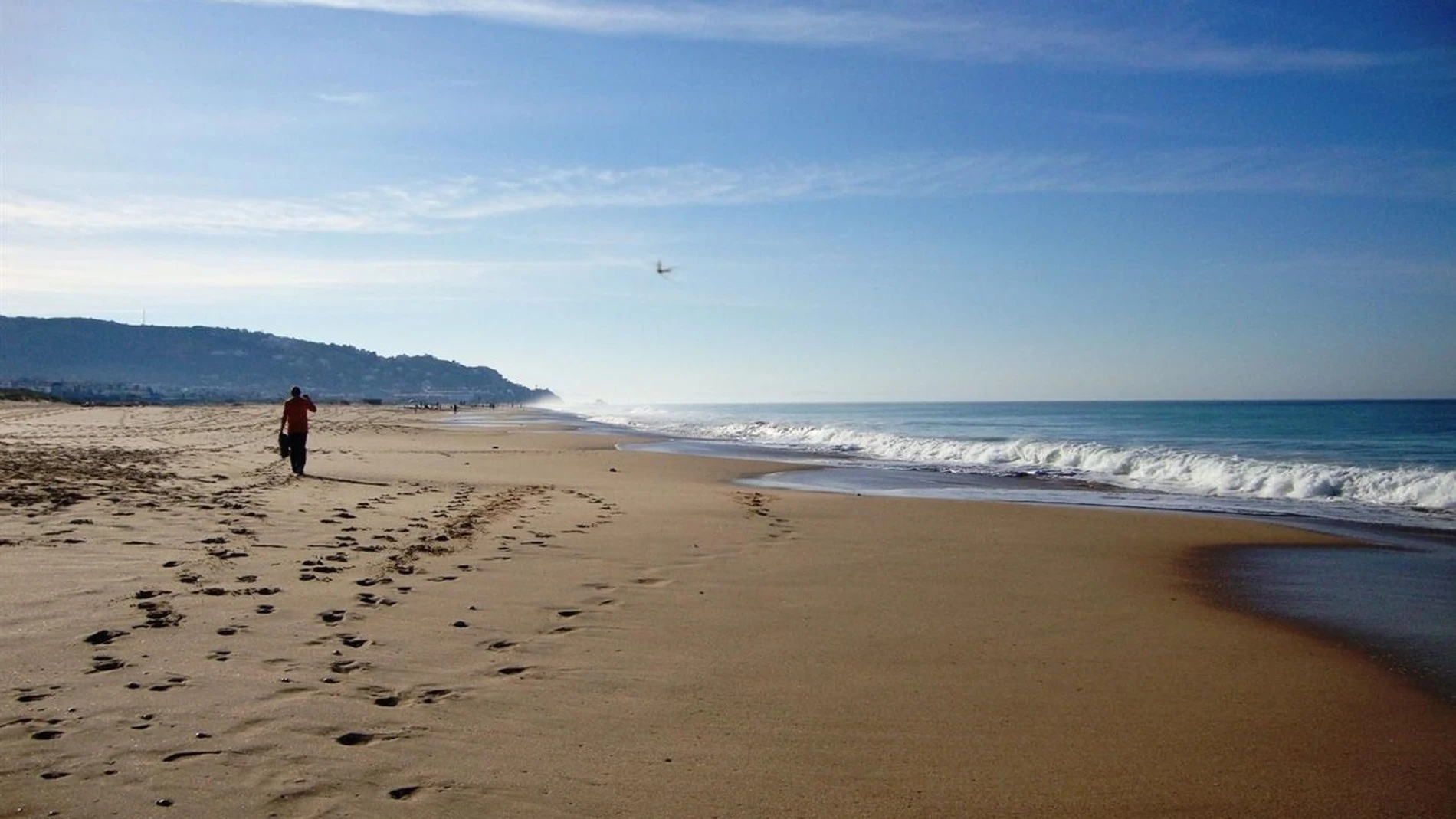 Cádiz.-Coronavirus.- Junta abre expediente por la fumigación con lejía de la playa de Zahara de los Atunes