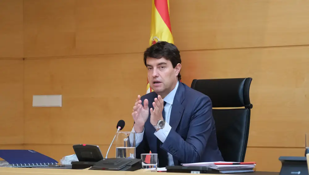 El consejero de la Presidencia de la Junta de Castilla y León, Ángel Ibáñez, durante su comparecencia ante las Cortes para explicar las gestiones de su equipo frente al coronavirus