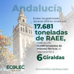 Infografía elaborada con los datos de ECOLEC 2019 en Andalucía