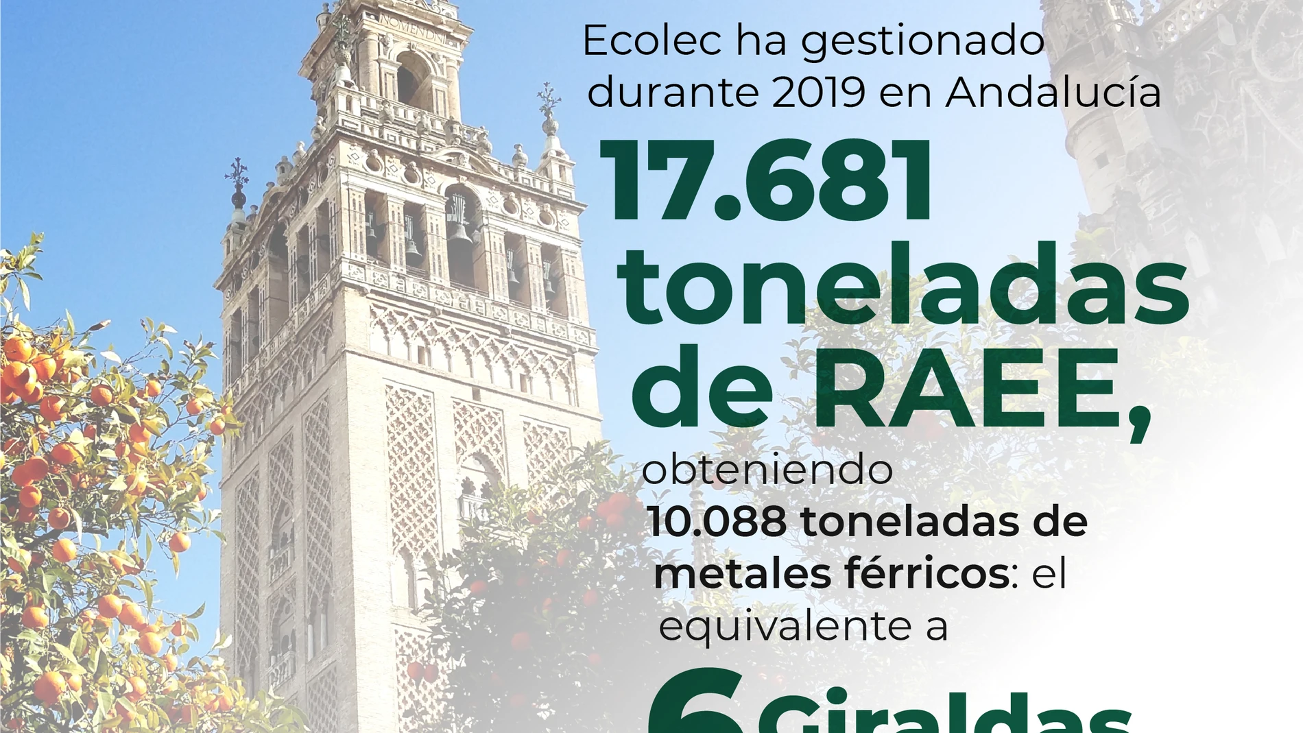 Infografía elaborada con los datos de ECOLEC 2019 en Andalucía