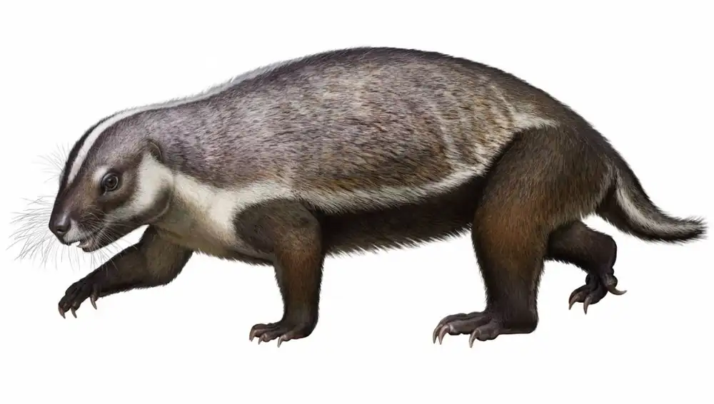 Reconstrucción de Adalatherium hui, un nuevo gondwanaterio del Cretácico en Madagascar. / Andrey Atuchin