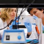 Investigadores trabajando en el laboratorio.
