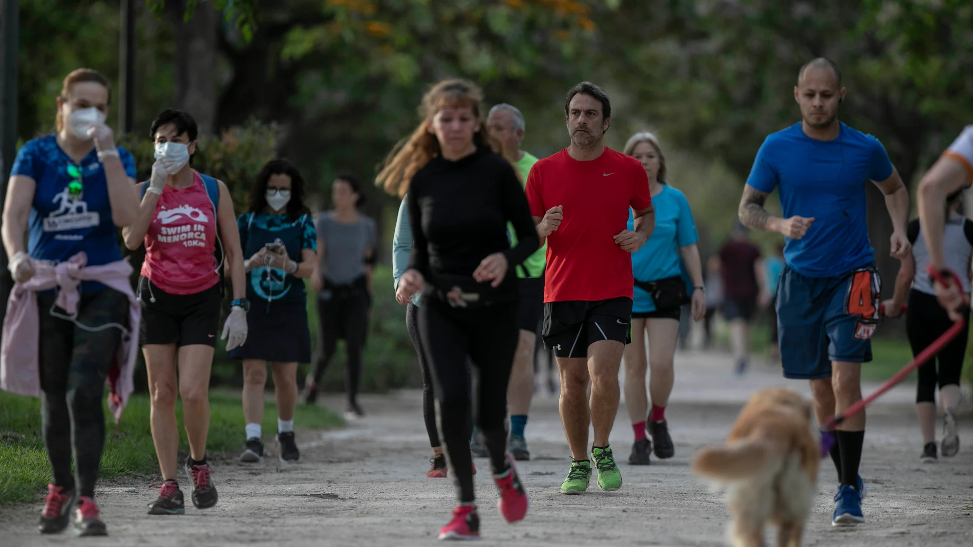 El Medio Maratón de Valencia presenta su nuevo circuito con zonas más amplias y seguras