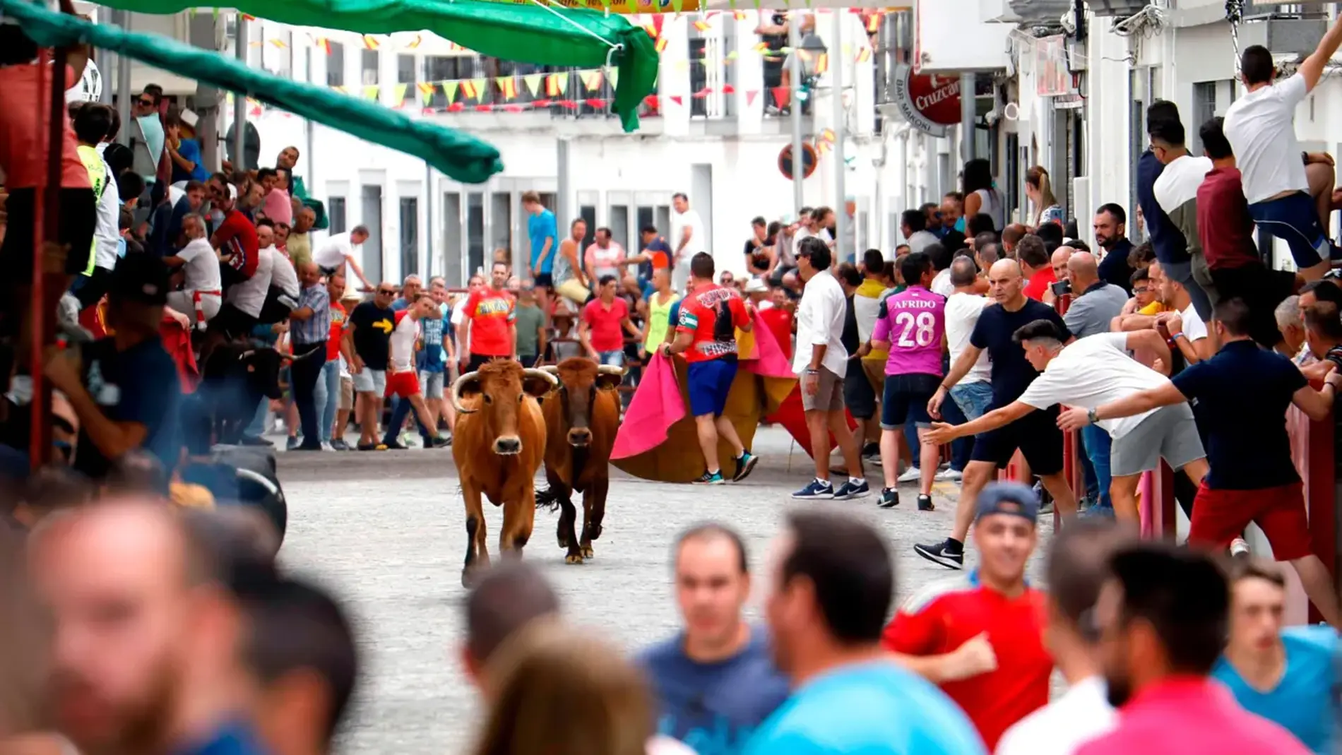 Celebración de los "bous al carrer" en una localidad valenciana