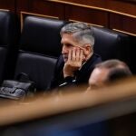 El ministro del Interior, Fernando Grande-Marlaska, en el pleno del Congreso este miércoles06/05/2020