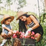 Plantas para acabar con las plagas de mosquitos de tu jardín