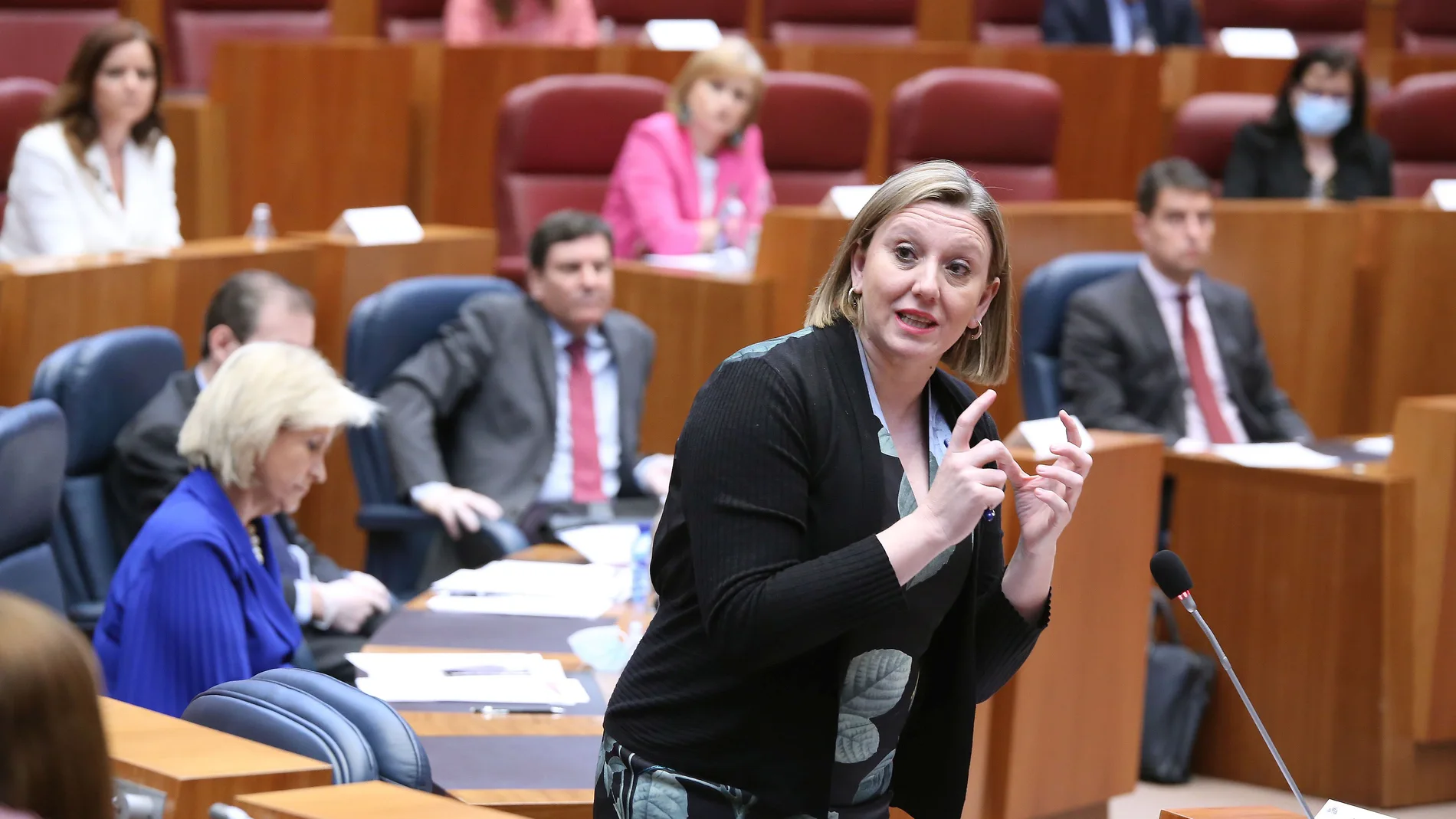 La consejera de Familia e Igualdad, Isabel Blanco, interviene en el Pleno de las Cortes