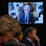 Miembros del Senado atienden a la teleconferencia del Dr. Anthony Fauci, asesor principal de Trump sobre la pandemia.