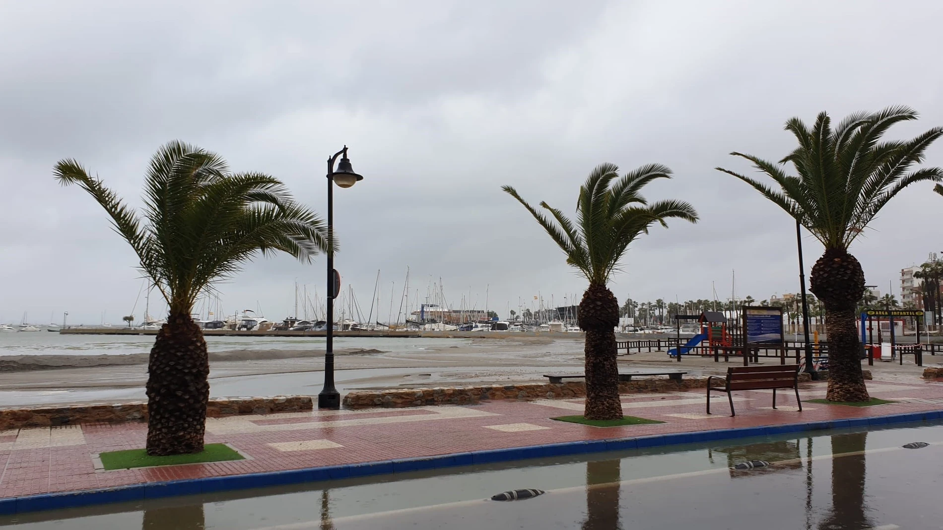 Trib.- La Fiscalía insta a la Comunidad a exigir la reparación de los daños a quienes han contaminado el Mar Menor