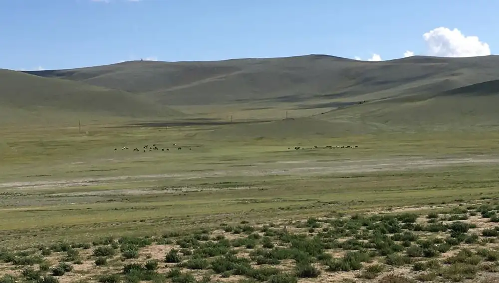 30 kilómetros de tierra de nadie separan Rusia y Mongolia.