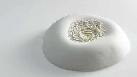 Mugaritz