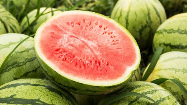 Mercadona compra sandía a 22 proveedores distintos en España