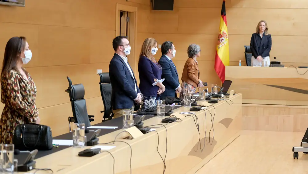 Minuto de silencio antes del comienzo de la Comisión de Cultura y Turismo en las Cortes, con la presencia de la directora general de Turismo, Estrella Torrecilla