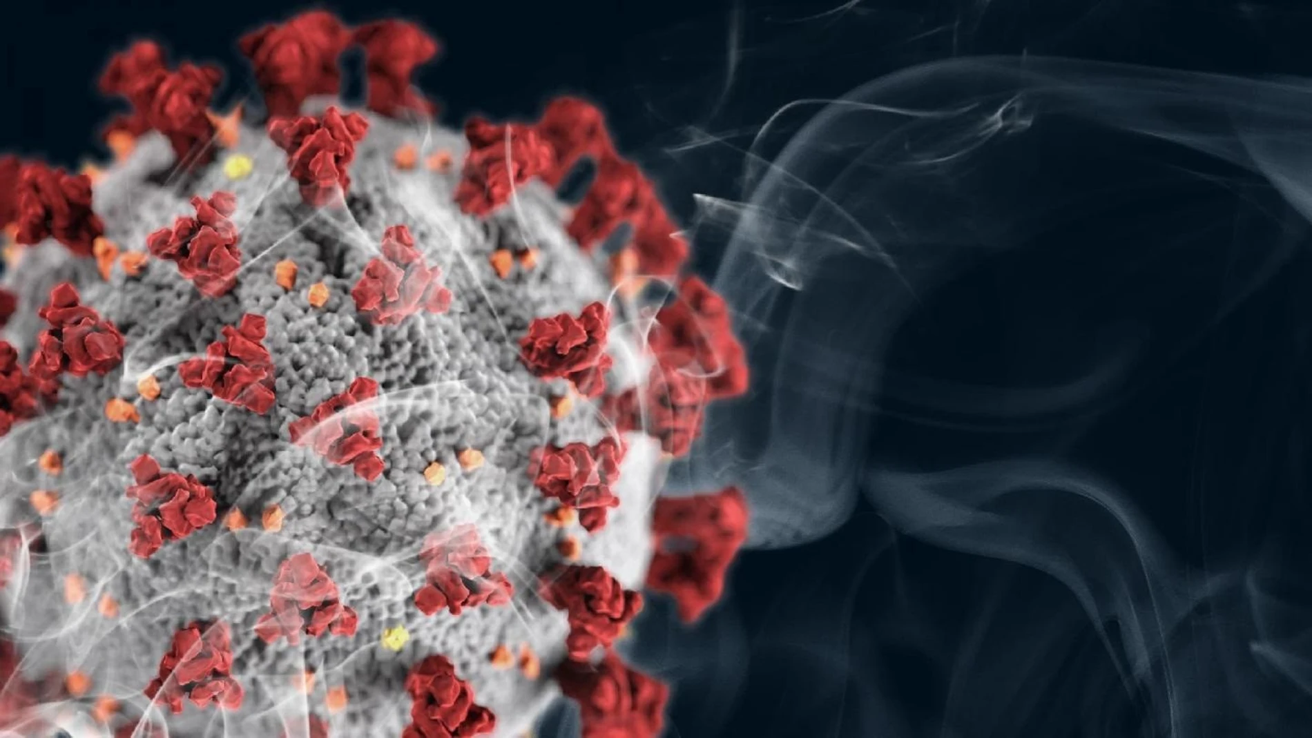 Coronavirus.- Fumar estimula la proteína que utiliza el virus del COVID-19 para entrar a las células, según un estudio