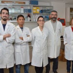 Moléculas dirigidas contra el ARN del SARS-CoV-2 es el proyecto liderado por José Gallego, de la Fundación Universidad Católica de Valencia San Vicente Mártir.