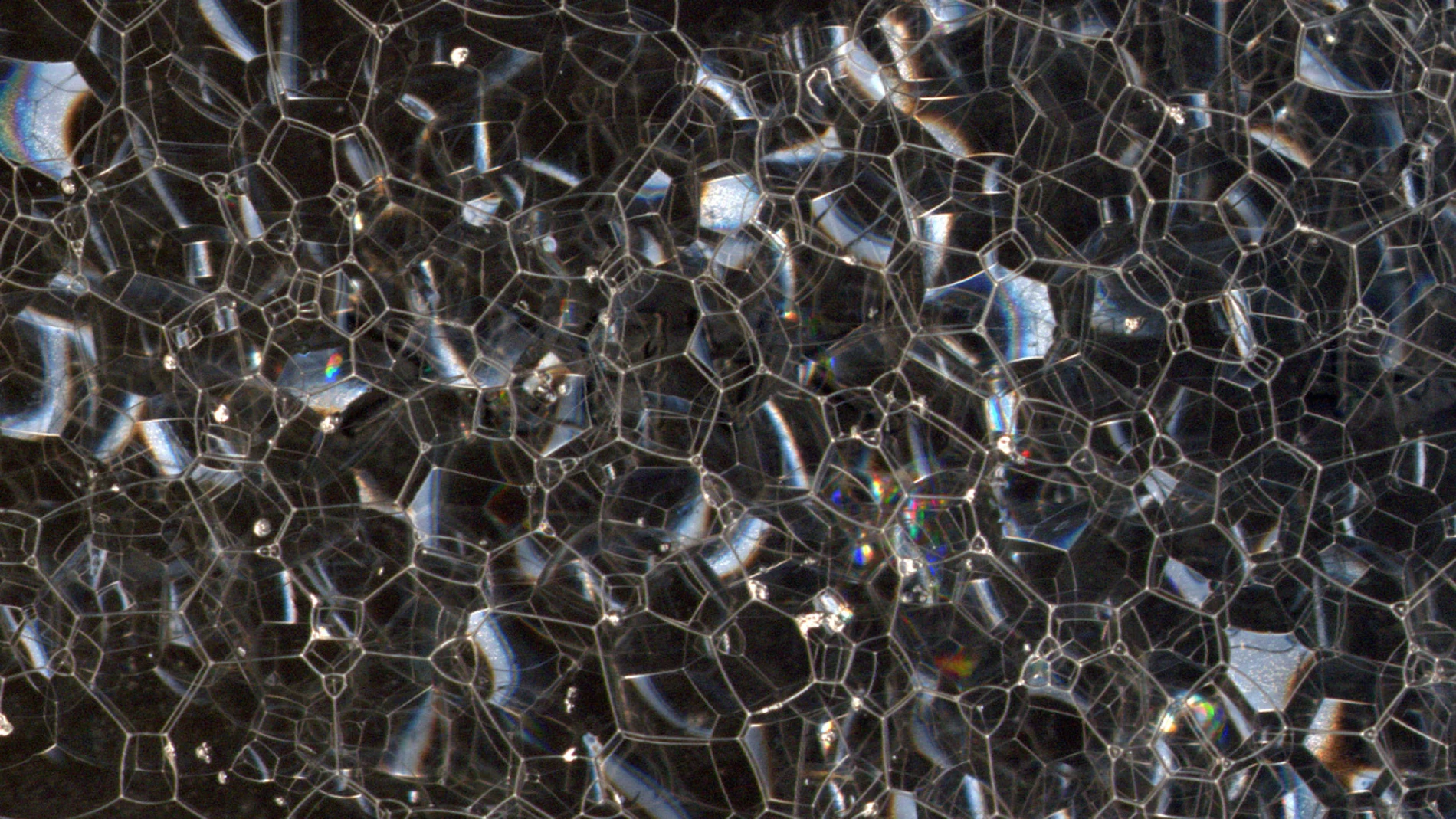 Imagen de espuma vista en un microscopio, en la que se aprecia que está formada de pequeñas burbujas de diferentes tamaños.