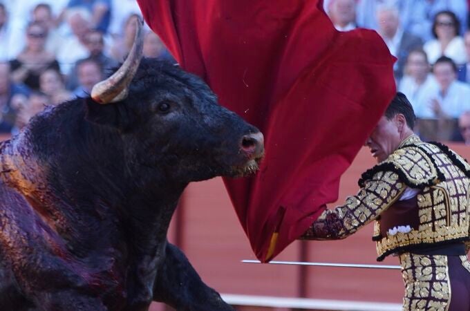 Coronavirus.- Ganaderos de toros prevén 34,14 millones de pérdidas en Andalucía por la cancelación de festejos