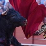 Coronavirus.- Ganaderos de toros prevén 34,14 millones de pérdidas en Andalucía por la cancelación de festejos