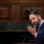 La formación que lidera Santiago Abascal podrá manifesatarse el sábado en Csatilla y León contra la gestión del Gobieno de la pandemia del Covid