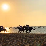 Carreras de caballos en Sanlúcar de Barrameda